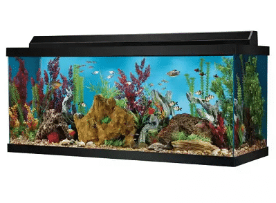 Best 75 gallon aquarium reviewed - 2021 buyers guide acrylic or glass tank